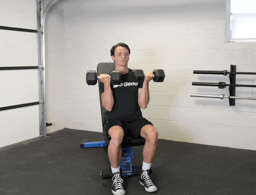 Desenvolvimento Arnold musculação